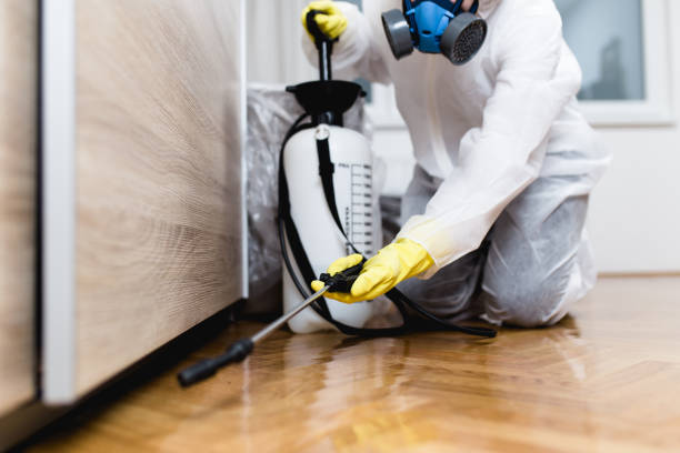 Best Best Pest Control Companies  in Merian, ID