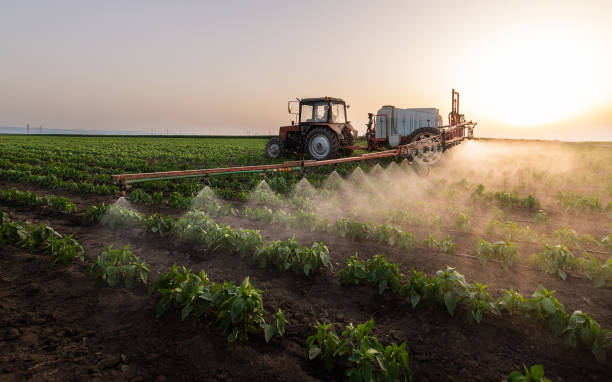 Best Best Pest Control Companies  in Merian, ID