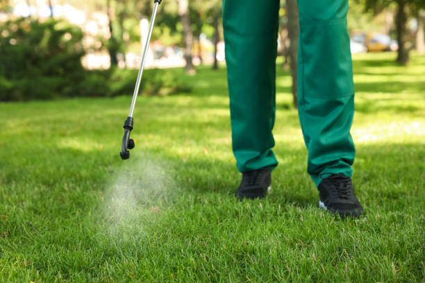 Best Cockroach Control Services  in Merian, ID