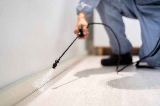 Pest Control Cost in Meridian, ID