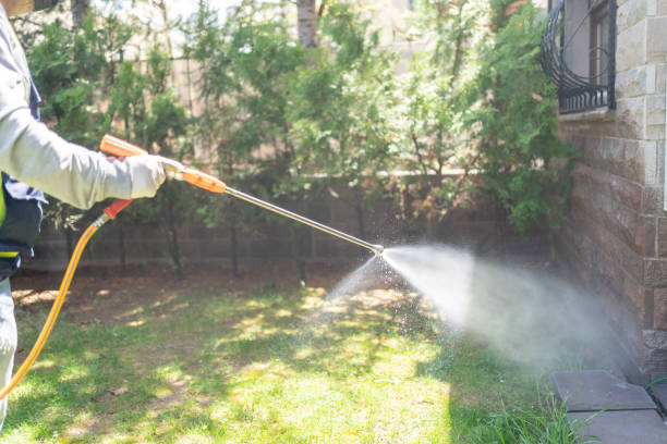 Insect Control in Meridian, ID