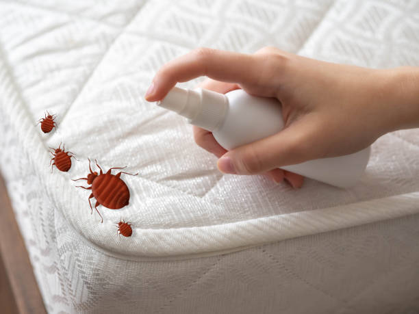 Best Residential Pest Control  in Merian, ID